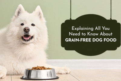 Explaining All You Need To Know About Grain-Free Dog Food