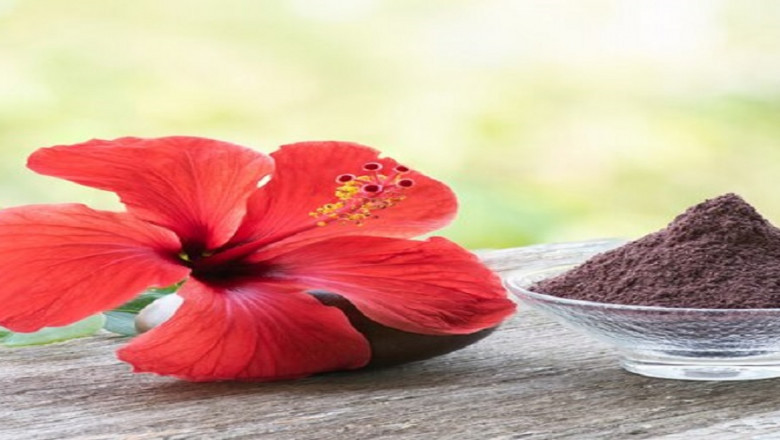 Hibiscus Flower Powder Market Trends, Size, Segments, Emerging Technologies and Industry Growth by Forecast to 2028