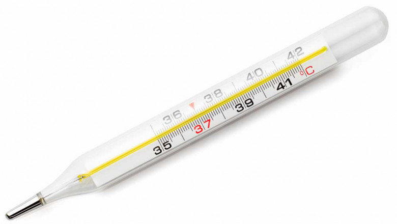 Thermometer Market Analysis and Forecast (2021-2028) by Leading Players
