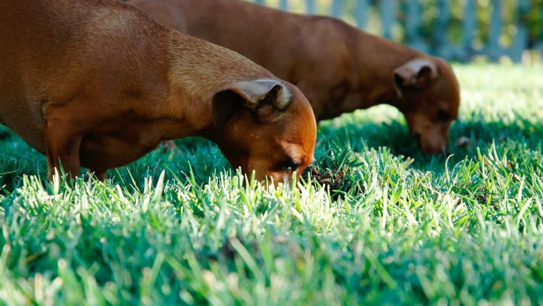 specjalisci rachunkowi warszawa