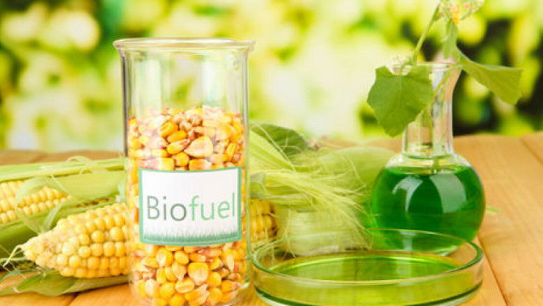 Biofuel Project Report 2022: Plant Cost, Manufacturing Process, Raw Materials, Business Plan, Plant Setup, Industry Trends, Machinery Requirements 2027 - Syndicated Analytics