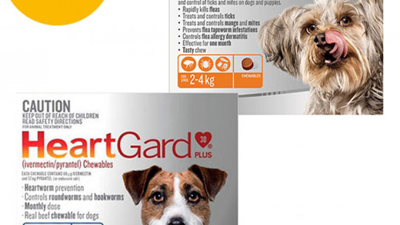 Heartgard + Nexgard Combo Pack For Small Dogs Online | DiscountPetCare