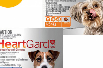 Heartgard + Nexgard Combo Pack For Small Dogs Online | DiscountPetCare