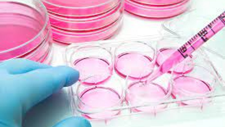 Cell Culture Market: Global Opportunity Analysis and Industry Forecast, 2020–2027