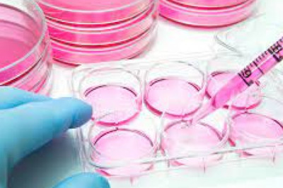Cell Culture Market: Global Opportunity Analysis and Industry Forecast, 2020–2027