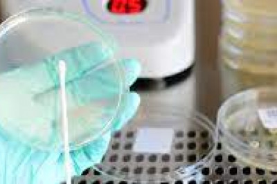 Global Study on Pyrogen Testing Market: Animal-free Testing Methods Setting a New Trend