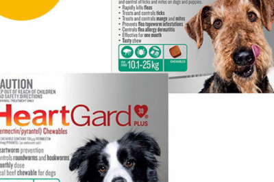 Heartgard + Nexgard Combo Pack For Large Dogs Online | DiscountPetCare