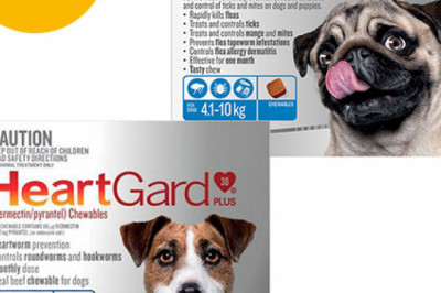 Heartgard + Nexgard Combo Pack For Medium Dogs Online | DiscountPetCare