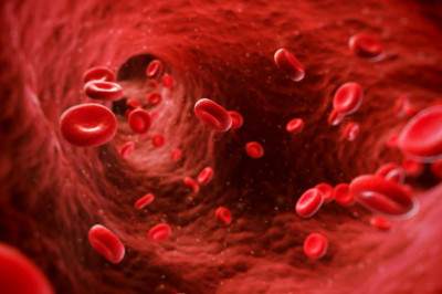 Hemostasis & Tissue Sealing Agents Market To See Worldwide gigantic Growth, Share, Size, Analysis, Forecast 2025