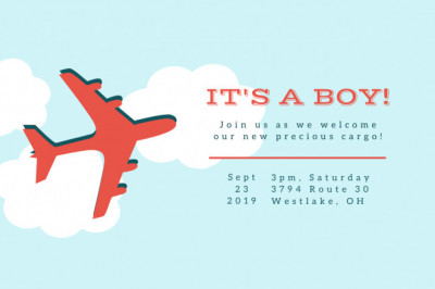 Is it possible to ship televisions, LCDs, and LEDs from Dubai to Pakistan?