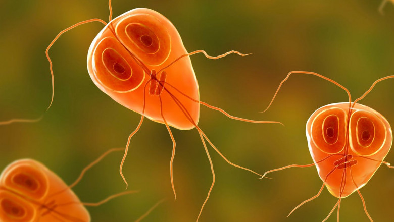 Real Causes for Bacterial and Parasitic infections