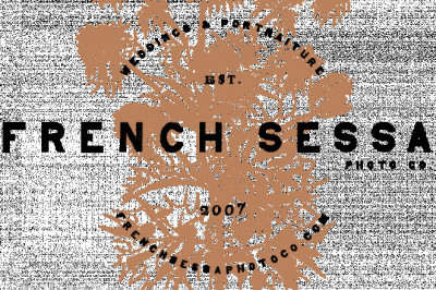 Seattle Photographer