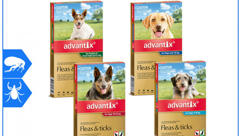 ADVANTIX for Dogs Flea and Tick Treatment 6 Pipettes