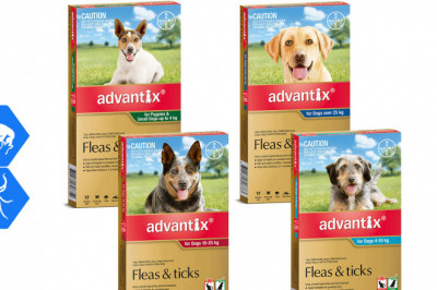 ADVANTIX for Dogs Flea and Tick Treatment 6 Pipettes
