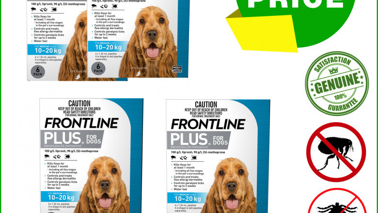 Frontline Plus for 10 To 20 Kg Dogs for Flea and Tick Treatment