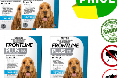 Frontline Plus for 10 To 20 Kg Dogs for Flea and Tick Treatment
