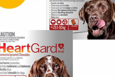 Heartgard + Nexgard Combo Pack For Extra Large Dogs Online | DiscountPetCare