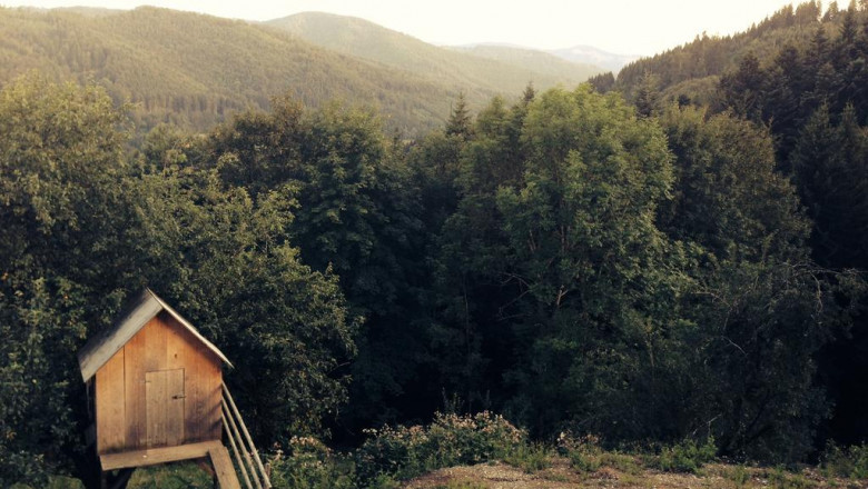 profesjonalisci walutowi stolica