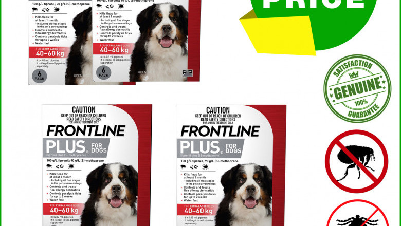 Frontline Plus for 40 To 60 Kg Dogs for Flea and Tick Treatment