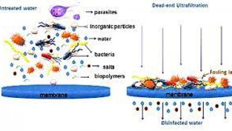 Membrane Filtration Global Market Growth New Business Opportunities and Challenges, Upcoming Trends, Future Planning & Forecast to 2028