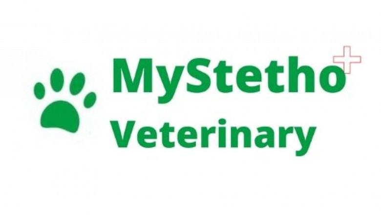 Nourriture sèche pour chats À Genève, Switzerland- MyStetho Veterinary