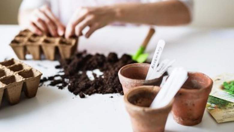 Find the Best Garden Centers Near You