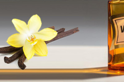 Outlook of Vanillin Market