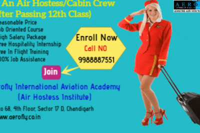 Which is the best degree after the 12th?