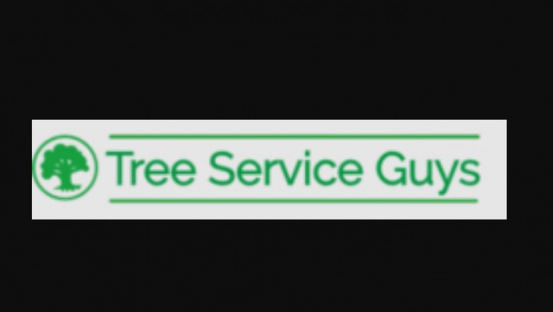 3 Causes Why You need a Tree Service