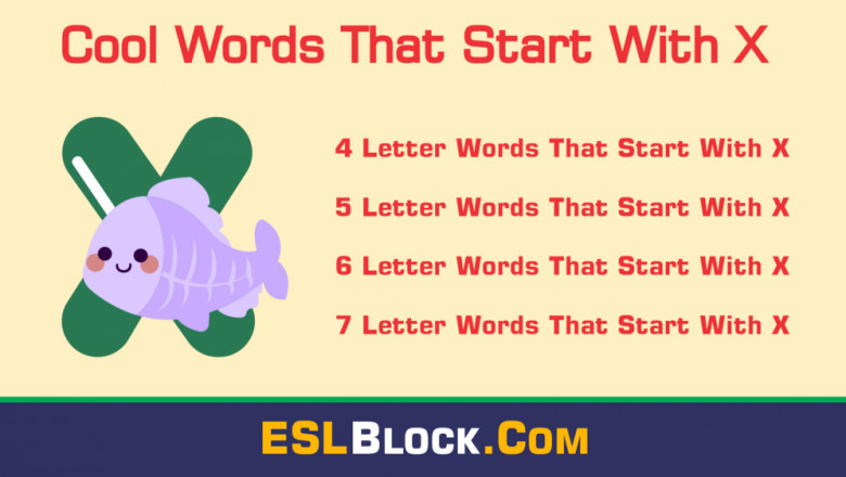 Awesome Cool Words That Start with X