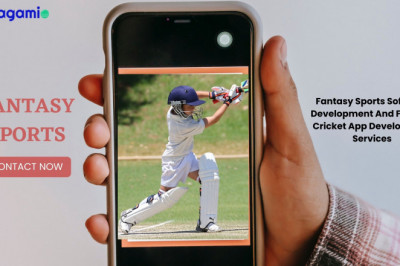 Fantasy Sports Software Development And Fantasy Cricket App Development Services
