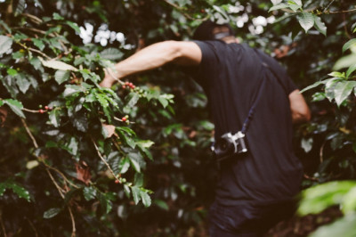 4 Reasons to Support Independently Owned Coffee Roasters