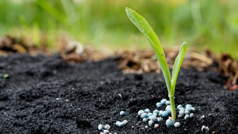 Fertilizer Market Research Report Detailed Analysis 2022| Research Informatic