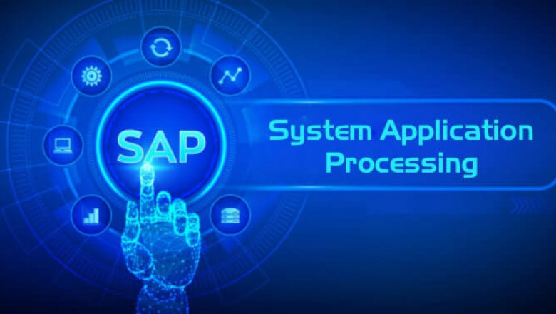 Why should you pursue a career in SAP?