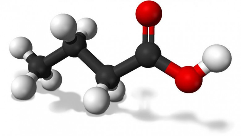 Fatty Acid Market Share, Growth, Statistics, by Application, Production, Revenue & Forecast