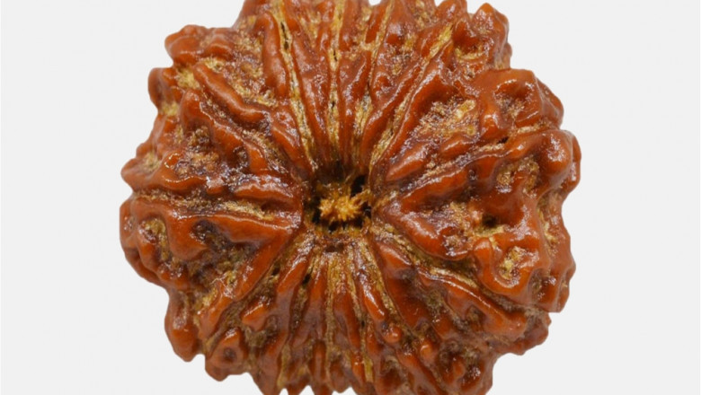 Get The Best 18 Mukhi Rudraksha Online