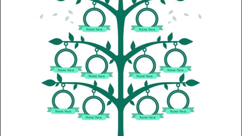 How To Log in to AncestryDNA Account?