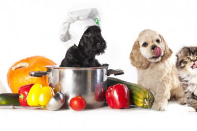 Animal Nutrition Market Analysis