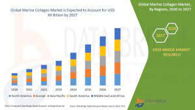 Marine Collagen Market Growth New Business Opportunities and Challenges, Upcoming Trends, Future Planning & Forecast to 2028