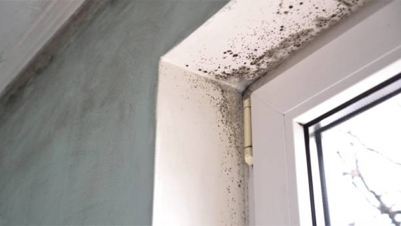 most effective ways to manage the humidity within your home?