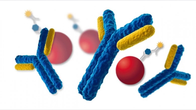Radioimmunoassay Market Dynamics