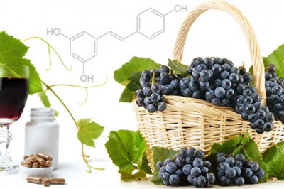 Application of Resveratrol in Cosmetics and Dietary Supplements is Expected to Significantly Support Market Growth