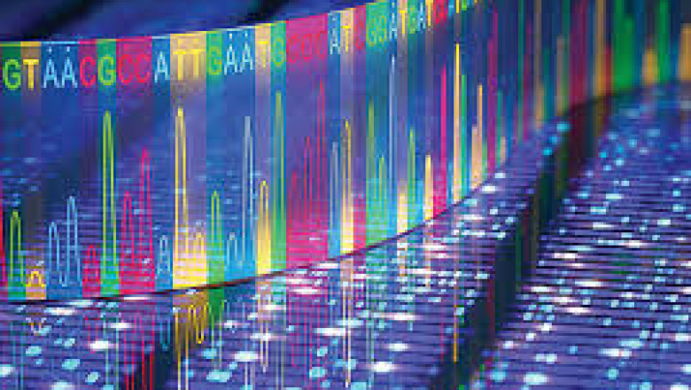 Next Generation Sequencing Market Segmentation, Regional Analysis and Growth Forecasts by 2028