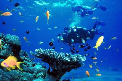 Top 5 Unique and Beautifull Dive Sites in Mallorca