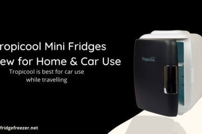 What is Mini Fridge? - how does Maximum cost for Mini Fridge?