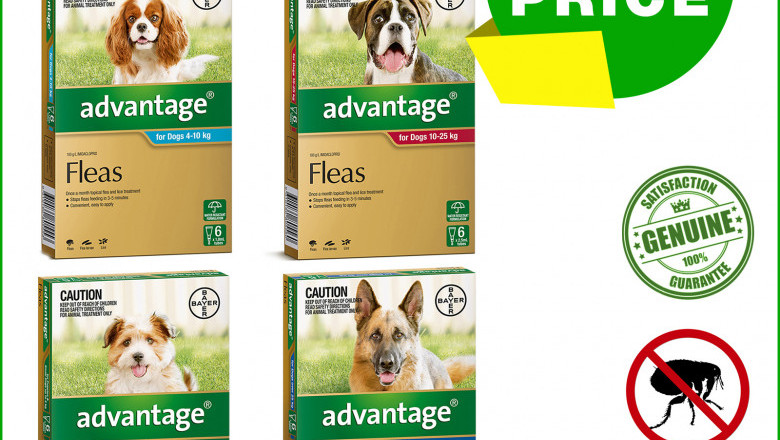 ADVANTAGE for Dogs 6 Pipettes Flea Prevention for Dogs