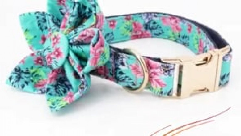 Online Pet Accessories store in the USA | Buy New style dog collars