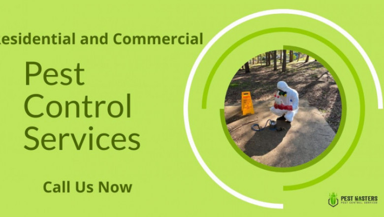 Pest Control Service In Melbourne
