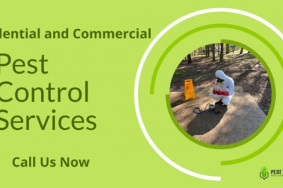Pest Control Service In Melbourne