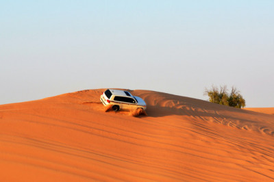 Best tour operator company for desert safari
